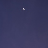 Morning Moon