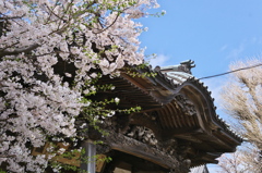 ご先祖様にご報告