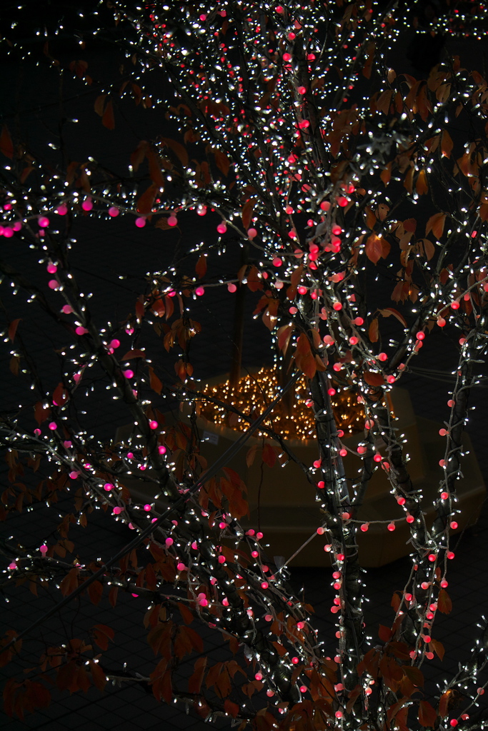 Electrical autumn foliage