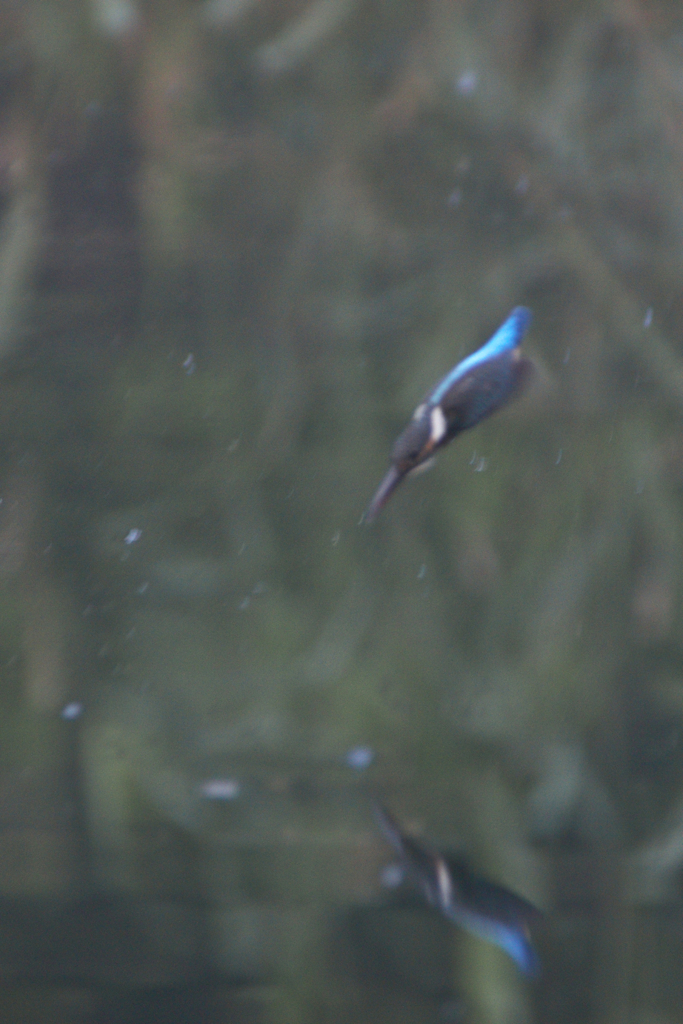 最後の修行・・・