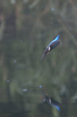 最後の修行・・・