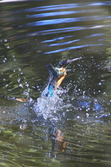 Stage of ripple