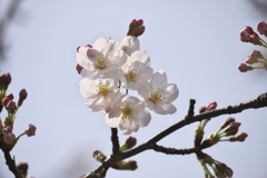 嵐の前にⅡ
