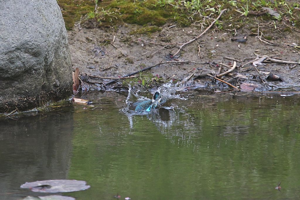 これがピン抜けだ～１