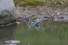 これがピン抜けだ～１