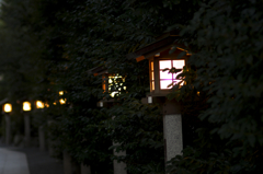 灯り
