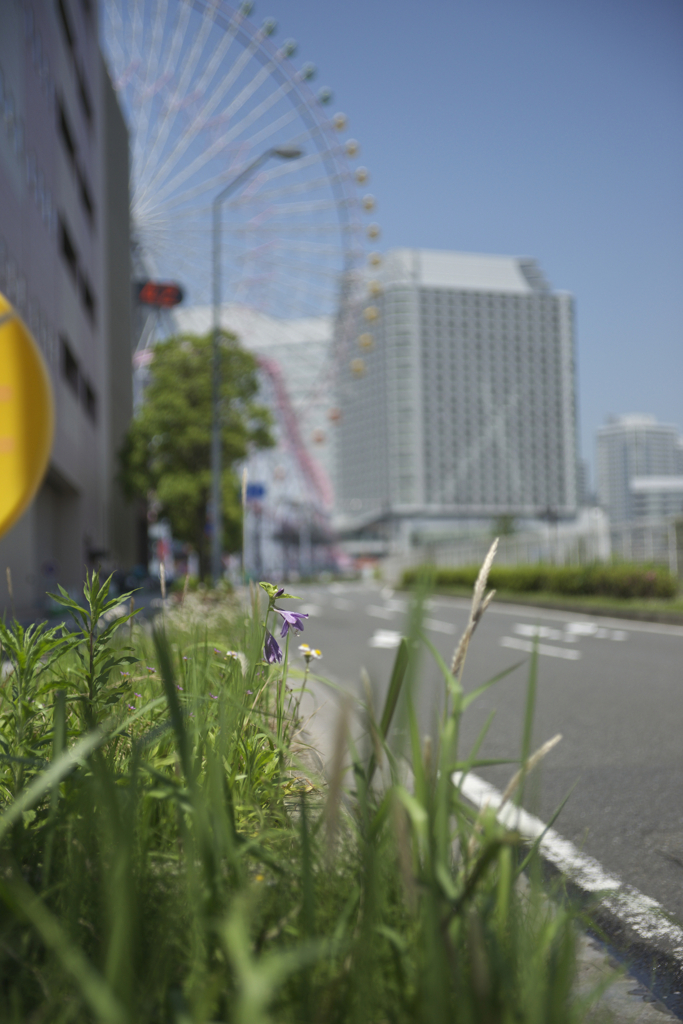 みなとみらいで