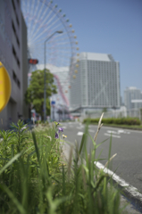 みなとみらいで