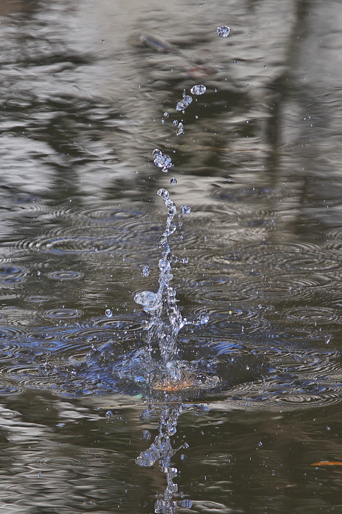 やっぱり楽し１