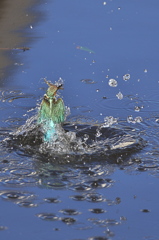 今年もありがとうございました