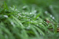 雨上がって