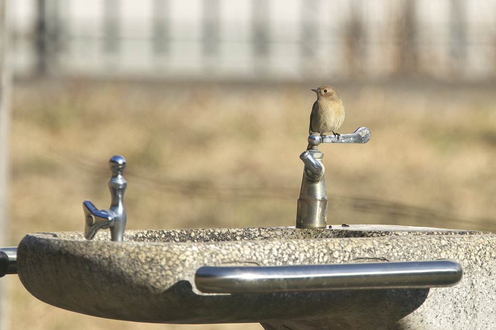 水を大切に