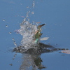 水に擁かれて 3
