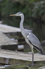 動かない、動けない