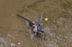 意外に伸びる～