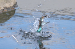 水に擁かれて5
