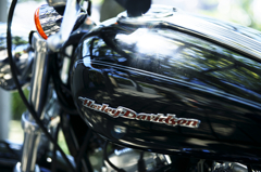 Harley‐Davidson