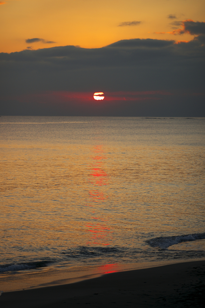 Red carpet of the sea