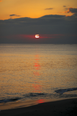 Red carpet of the sea