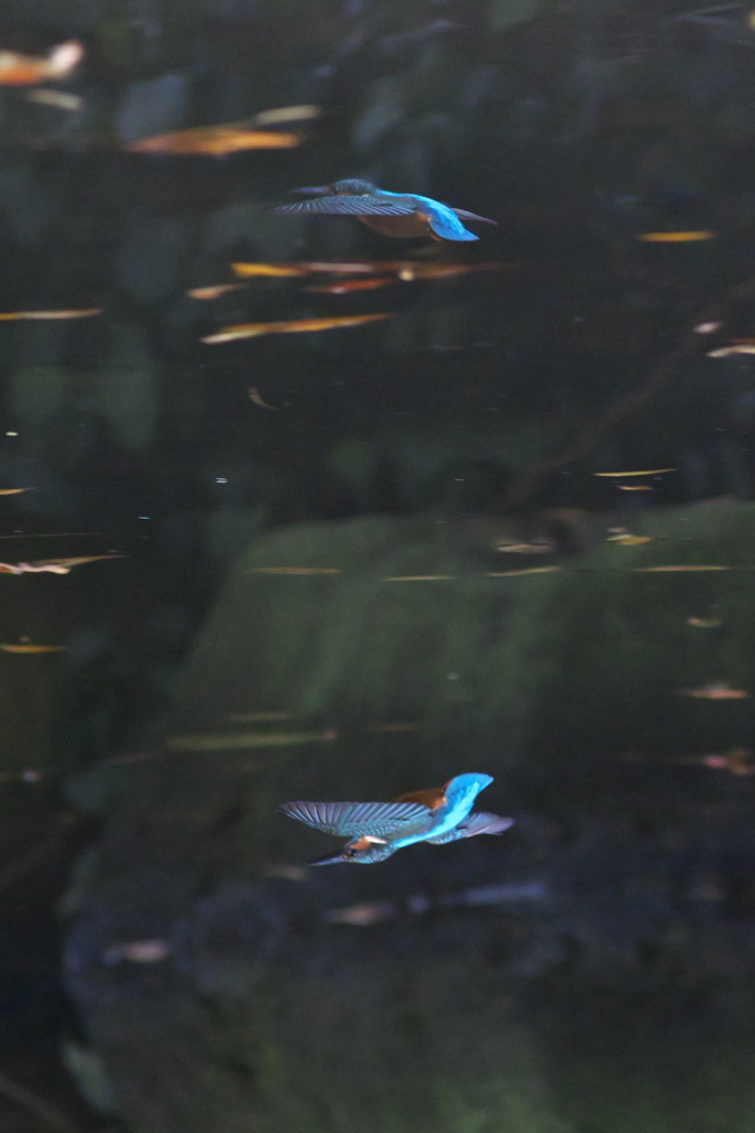 鏡の世界