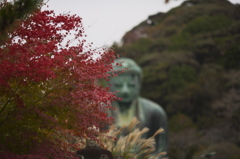 雨の鎌倉