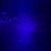 night blue