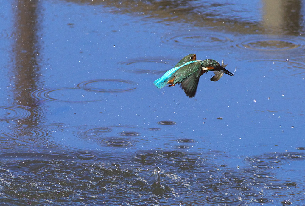 おっと！逃がさないぜ～
