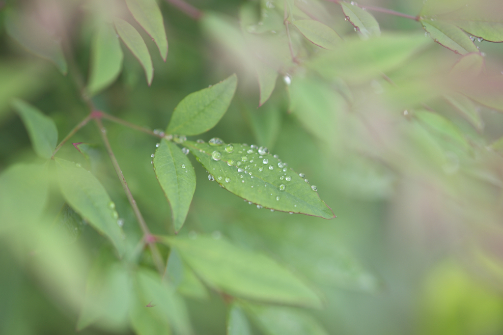 冷たい雨の中