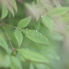 冷たい雨の中