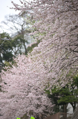 通学路