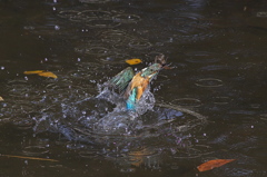 2013初カワ１
