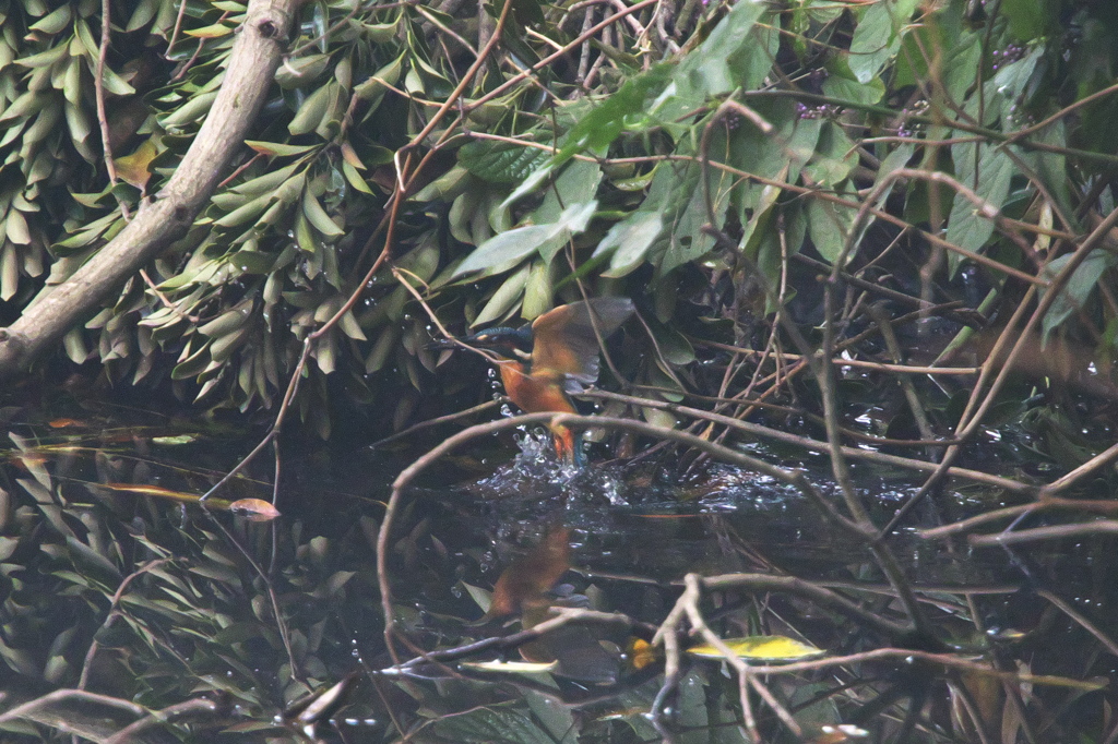 暗いッス・・・