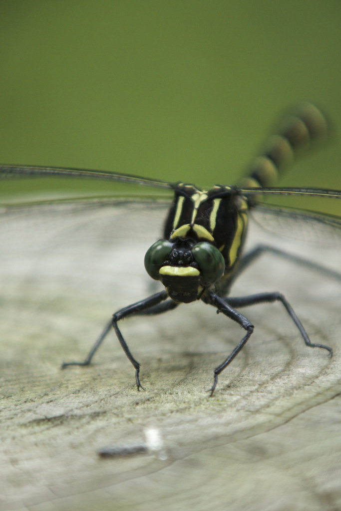 からかわれてます(^^ゞ