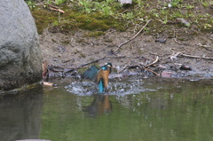 これがピン抜けだ～２