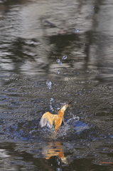 やっぱり楽し２