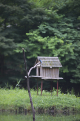 フルサイズ200mm