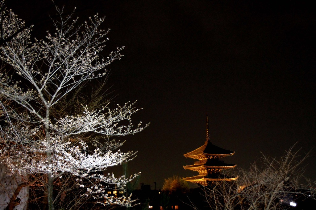 京都　花灯路