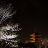 京都　花灯路