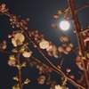 春の夜と月