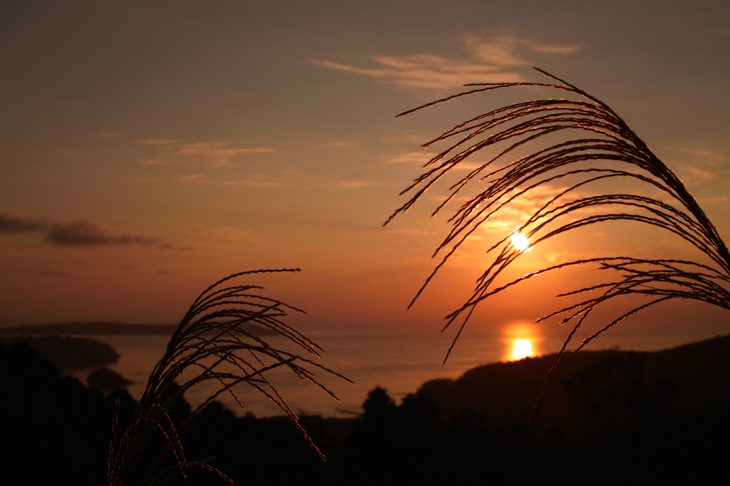 Evening of autumn