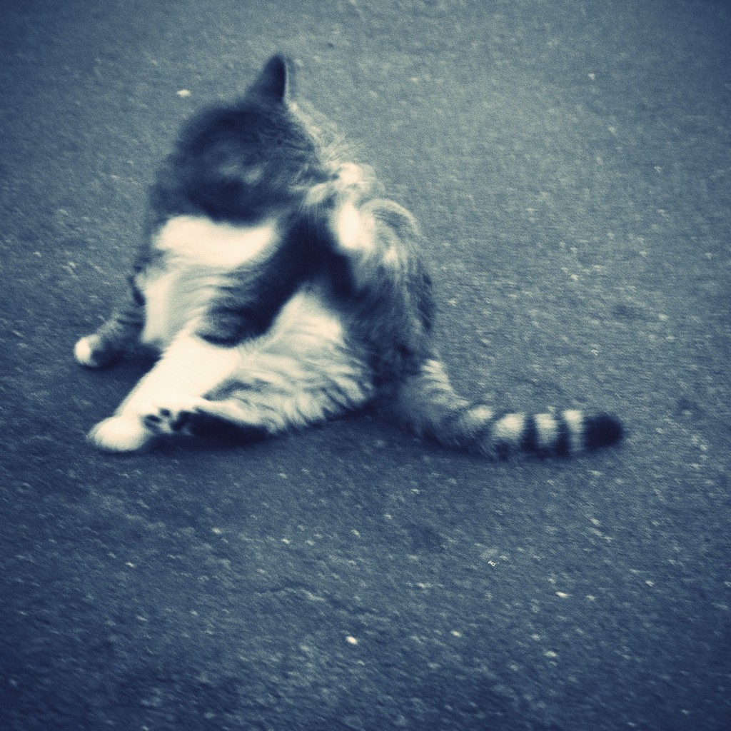 Itchy