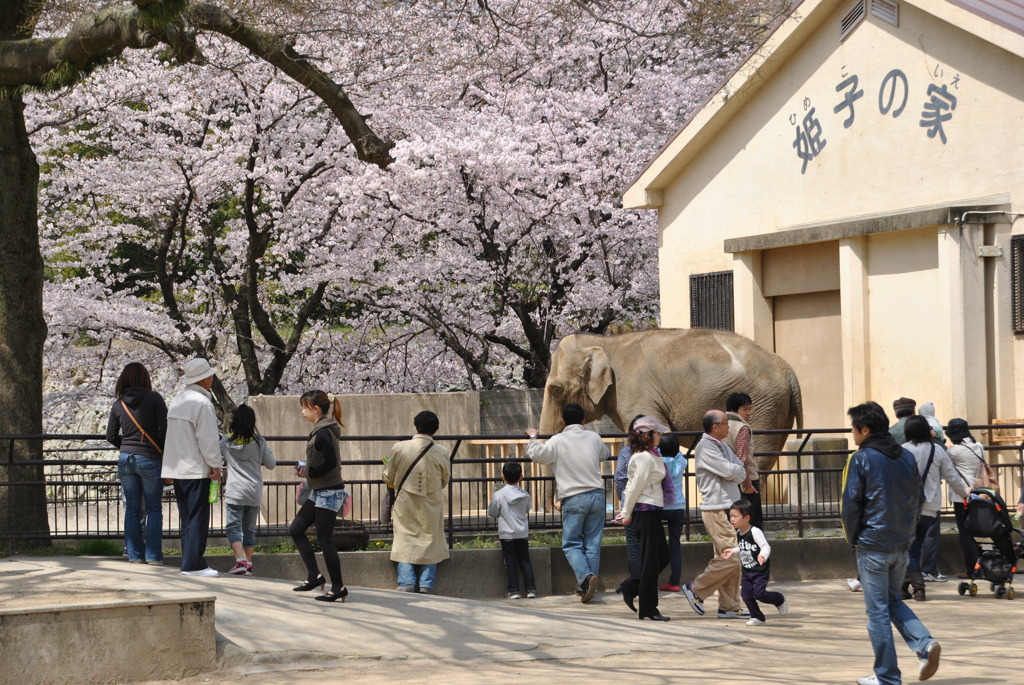 動物園