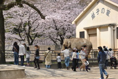 動物園