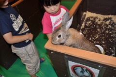 うさぎさん