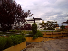 屋上庭園