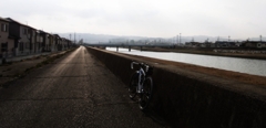 朝