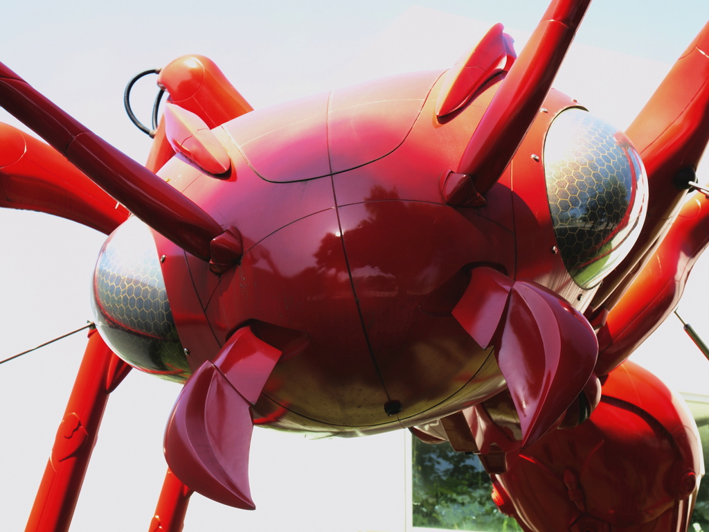 Ant