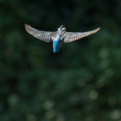 DH7A0690-Edit-2-2-2