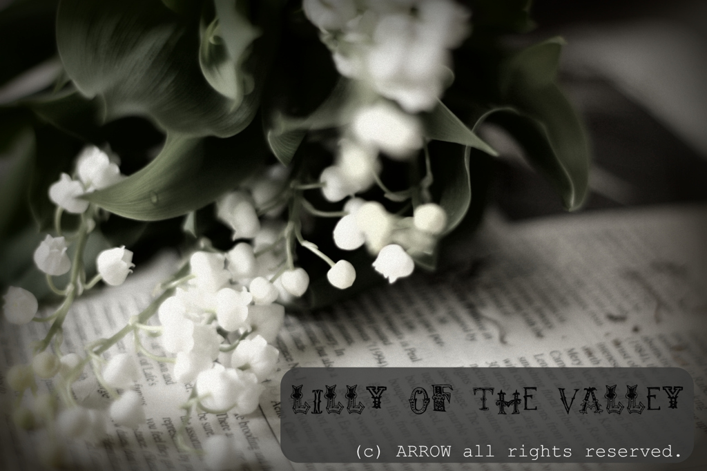 Lilly of the Valley