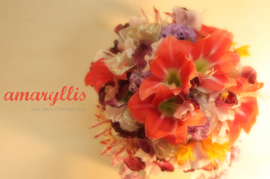 Amaryllis